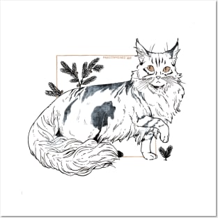 Maine coon Posters and Art